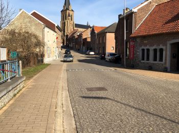 Randonnée Marche Tongres - Verborgen moois Lauw - Photo