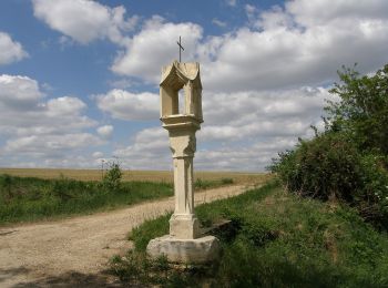 Excursión A pie Gemeinde Gaubitsch - Panorama Wanderweg Gaubitsch - Photo