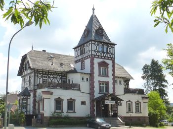 Tocht Te voet Mühltal - Rundwanderweg 4: Lindenberg - Weg - Photo