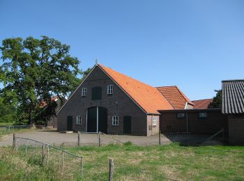 Excursión A pie Oost Gelre - De Kuitenbijter Route B - Photo