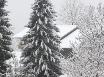 Tour Zu Fuß Gemeinde Westendorf - Wanderweg 4 - Brixen - Photo