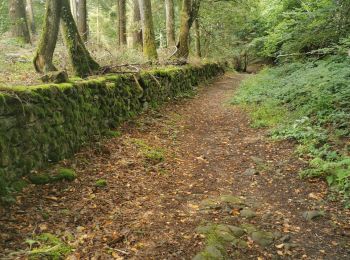 Trail Walking Autun - La pierre de couhart - Photo