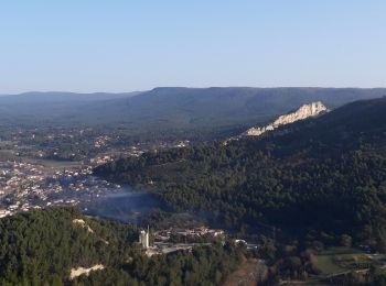 Tocht Stappen Ollioules - Le Gros Cerveau-24-02-20 - Photo