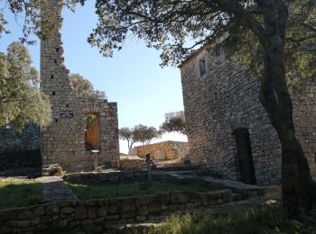 Tour Wandern Chusclan - château de gicon - Photo