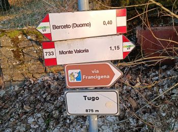 Tour Zu Fuß Berceto - Il Tugo - Monte Valoria - Photo