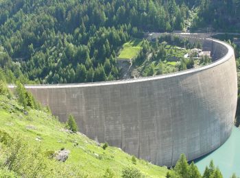 Randonnée A pied Arvier - Alta Via n. 2 della Valle d'Aosta - Tappa 5 - Photo