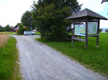 Excursión A pie Bischofsgrüner Forst - Wülfersreuth Rundweg Nr. 2 - Photo