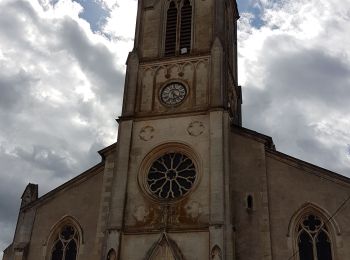 Tocht Stappen Saizerais - SAIZERAIS - LES CORNOUILLERS ET LES HOSPICES - Photo