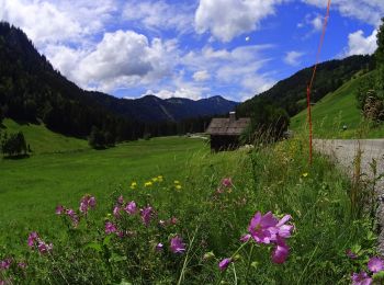 Randonnée V.T.T. Le Grand-Bornand - VTT dans la-vallee-du-bouchet - Photo