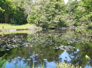 Tour Wandern Zonnebeke - Ypres - Photo