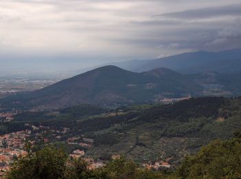 Tocht Te voet Montemurlo - Sentiero CAI 70 - Sez. Prato - Photo