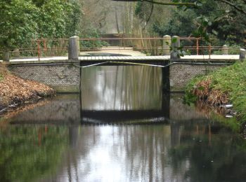 Randonnée A pied Wassenaar - wit - Photo