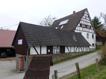 Randonnée A pied Heppenheim - Rundwanderweg Wald-Erlenbach 1: Igelsbach-Weg - Photo