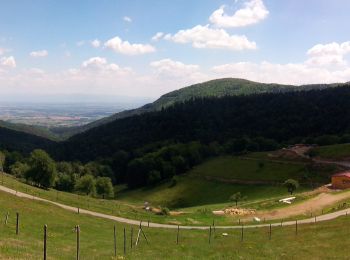 Randonnée Vélo électrique Moosch - Pélerinage à Thierenbach - Photo