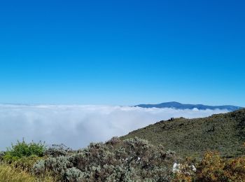 Tour Wandern Cilaos - jour 5 la Réunion refuge piton des neiges - Photo