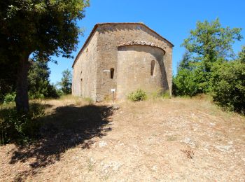 Trail On foot Asciano - IT-509a - Photo