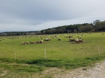 Trail Walking Lambesc - moulins-st esteve - Photo