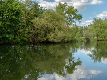 Tour Zu Fuß Burgkunstadt - Strössendorfer Weg/Main-Aussichts-Weg - Photo