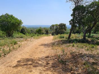 Tour Wandern Montmirat - montmirat-Chapelle-grottes - Photo