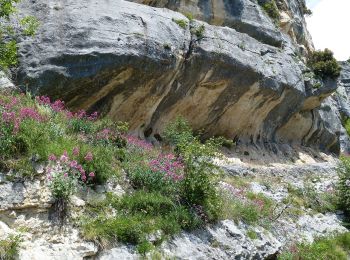 Percorso A piedi Caramanico Terme - Tratto Eremo di San Giovanni - Roccamorice - Photo