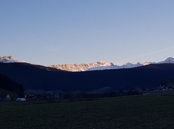 Tocht Stappen Autrans-Méaudre en Vercors - meaudre  - Photo