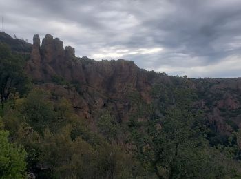 Tour Wandern Fréjus - Mont Vinaigre réel - Photo