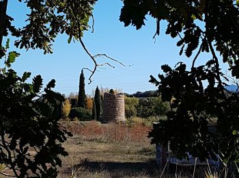 Tocht Stappen Fourques - Fourques  - Photo