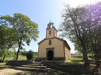 Excursión A pie Folgueroles - Folgueroles-Monòlits de Jacint Verdaguer - Photo