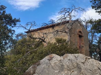 Randonnée Marche Aups - 2024-01-26 Aups Les 2 Chapelles  - Photo