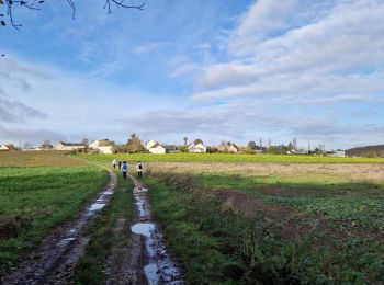 Excursión Senderismo Limours - Essonne_RD_Limours=>Bois-Forges=>Chardonnet=>Golf(V2) - Photo