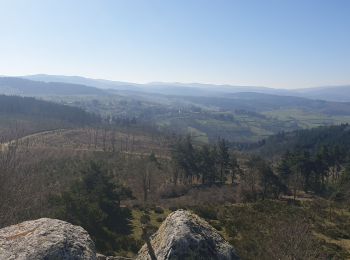 Tour Wandern Pradelles - Tour sommet V2 - Photo