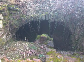 Randonnée A pied Amorbach - Geo-Lehrpfad: Sandstein-Weg - Photo