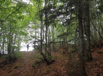 Tocht Stappen Chantepérier - Circuit de Gaudissart au départ du Périer - Photo