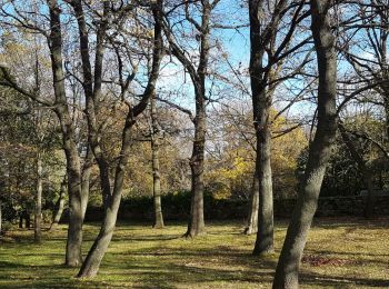 Randonnée Marche nordique Octon - Octon - Château de Lauzières - Chapelle ND de Roubignac - Photo