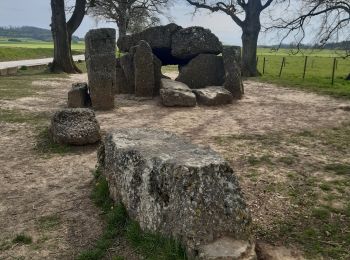 Excursión Senderismo Durbuy - entre le menhir Pire Hena et le dolmen de Weris ... wouai... - Photo