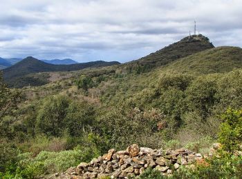 Randonnée Marche Faugères - Les Moulins de Faugères - Pic de Tantajo - Photo