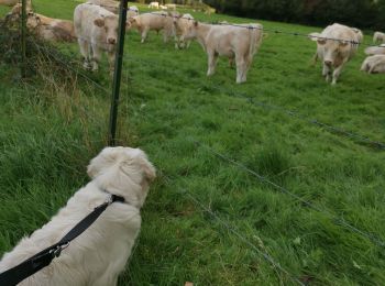 Randonnée Marche Envermeu - envermeu bois de Pimont bellengreville  - Photo