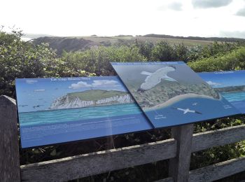 Tour Wandern Tardinghen - 2020-08-23_06h24m00_3985 - Photo