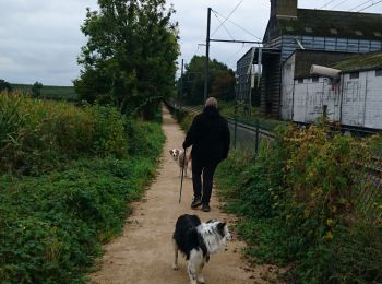 Tocht Stappen Welkenraat - boucle Welky Henri Chapelle  - Photo