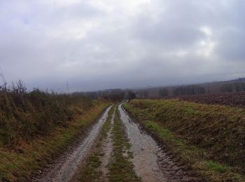 Trail Mountain bike Gerpinnes - Gerpinnes_20211211_083919 - Photo