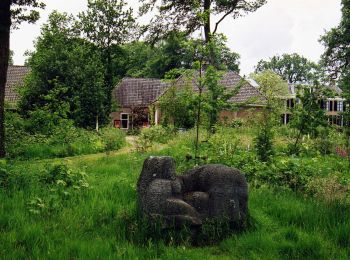 Tocht Te voet Lochem - Rondje Velhorst - Photo