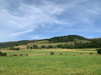 Tocht Stappen Le Claux - Le Claux - Photo