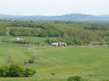 Tocht Mountainbike Saint-Pierre-la-Noaille - Jean-Pierre_Cottin_2019-06-06_14-11-31 - Photo