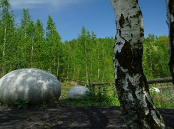 Tour Zu Fuß Würselen - Rundweg A4 - Rund um Adamsmühle und Wolfsfurth - Photo