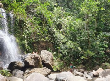 Trail Walking Sainte-Rose - Saut des Trois Cornes, en boucle depuis les sources de Sofaia - Photo
