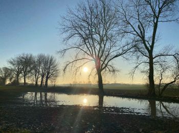 Excursión Senderismo Waterloo - De Waterloo à Dworp - Photo