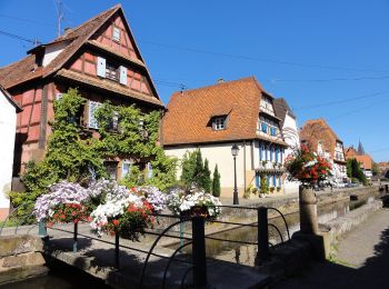 Randonnée A pied Wissembourg - Anneau rouge - Photo