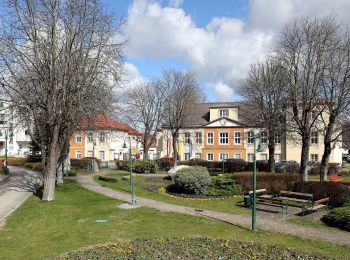 Tour Zu Fuß Sollenau - Fleischer Steiner Runde (Sollenau) - Photo