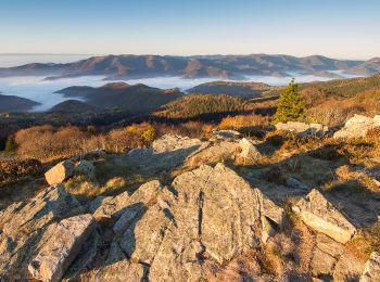 Trail Walking Guebwiller - Tour du Grand Ballon en 3 jours - Photo