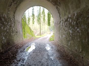 Excursión Senderismo Nivelles - Marche ADEPS école ste Thérèse Nivelles 10 km - Photo